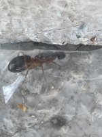 IMG_0369.jpeg