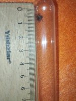 IMG_20260615_165415.jpg