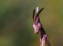 IMG_6500.jpeg