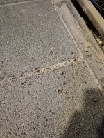 63974.jpg