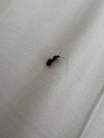 IMG_2670.jpeg
