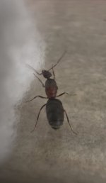 IMG_0456.jpeg