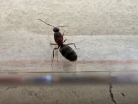 IMG_0449.jpeg