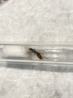 IMG_3625.jpeg