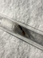 IMG_3632.jpeg