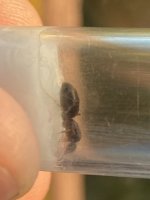 IMG_6601.jpeg
