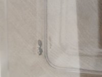 1000088824.jpg