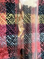 IMG_1976.jpeg