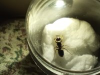 IMG_20260617_124844.jpg