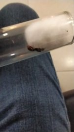 IMG_20220610_120835.jpg