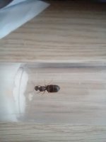 IMG_20220610_173911.jpg