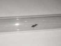 IMG_20220610_180717.jpg