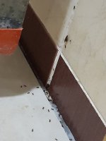20220610_025249.jpg