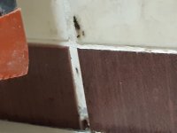 20220610_025243.jpg