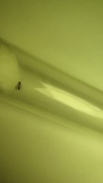 IMG_20220612_162734.jpg