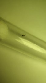 IMG_20220612_162721.jpg