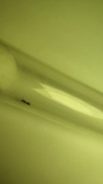 IMG_20220612_162732.jpg