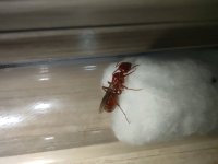 IMG_20220608_140557.jpg
