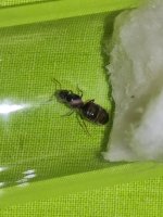IMG_20220613_110522.jpg