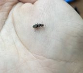 IMG_9696.jpeg