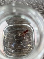 IMG_5766.jpeg