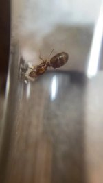 IMG_8723.jpeg