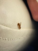 52a1c908-0503-4722-a806-db3f469e0404.jpeg