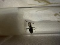IMG_2534.jpeg
