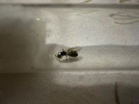 IMG_2536.jpeg