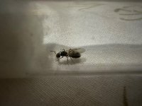 IMG_2535.jpeg