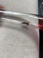 IMG_4500.jpeg