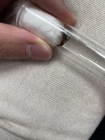 IMG_4497.jpeg
