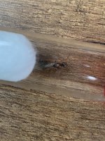 IMG_4503.jpeg