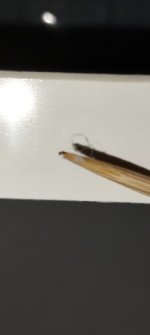 IMG20260619184417.jpg