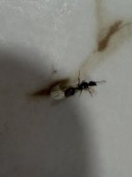 IMG_2830.jpeg