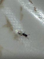 IMG_2834.jpeg