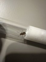 IMG_7941.jpeg