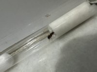 IMG_7943.jpeg
