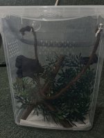 IMG_3022.jpeg IMG_3022.jpeg