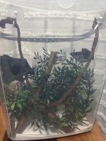 IMG_3021.jpeg IMG_3021.jpeg