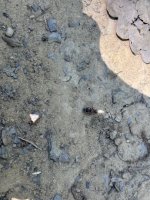 IMG_0898.jpeg