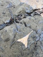 IMG_0900.jpeg