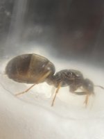 IMG_4645.jpeg