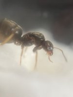 IMG_4644.jpeg