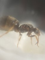 IMG_4640.jpeg