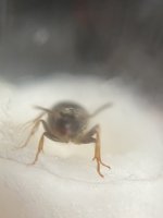 IMG_4635.jpeg