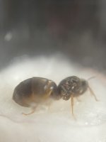 IMG_4634.jpeg