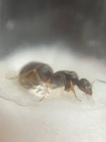 IMG_4631.jpeg