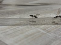 IMG_1697.jpeg