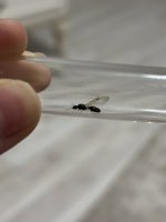 IMG_1703.jpeg
